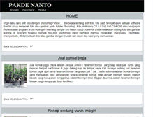 Tablet Screenshot of pakdenanto.com